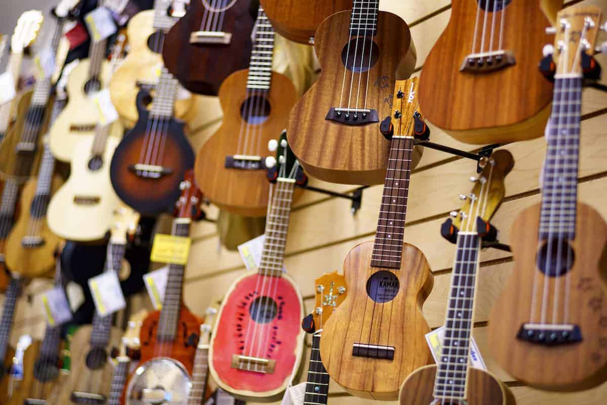 ukulele store puapua waikiki