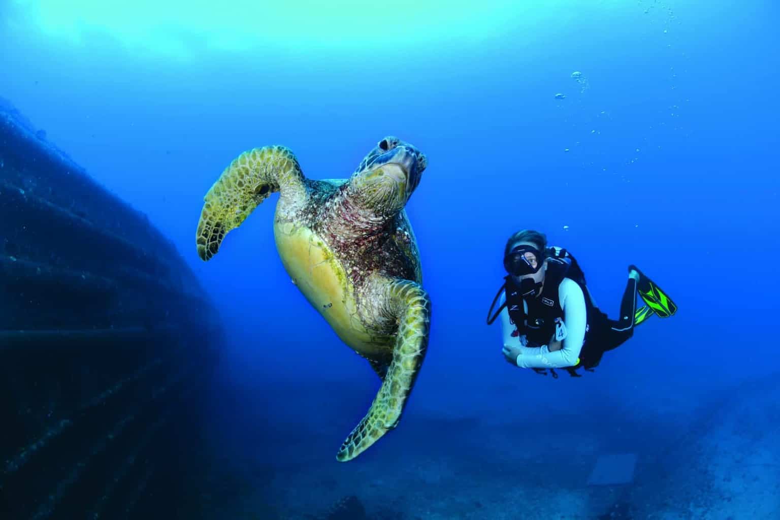 dive oahu