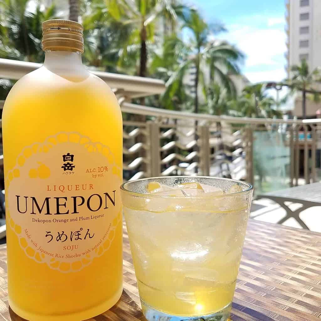 A perfect beverage for a hot day!