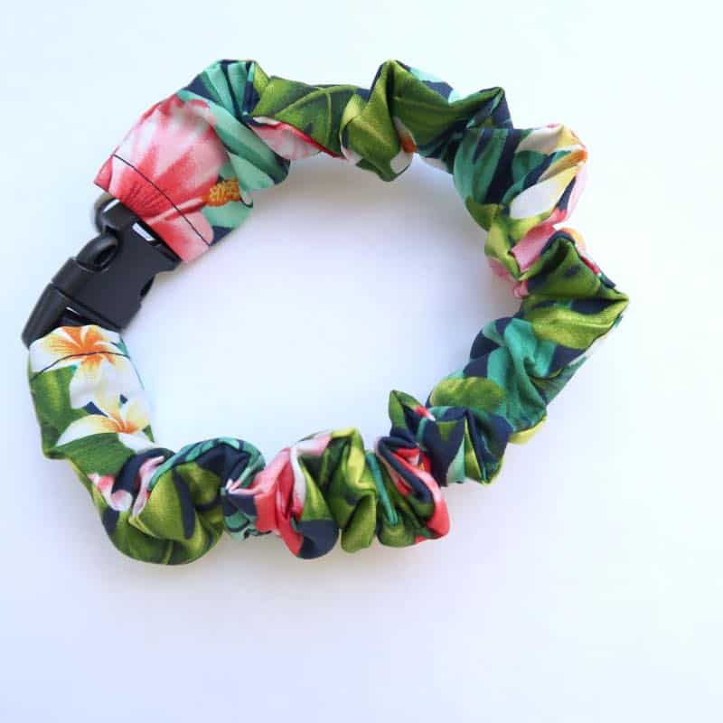 Ph10_muumuu rainbow_collar-cover muumuu rainbow_collar-cover
