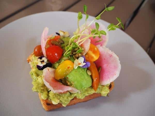 basalt avocado toast