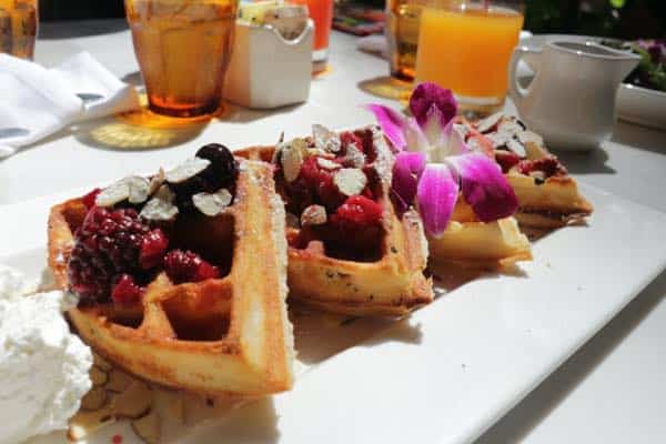 il lupino Belgian Waffle