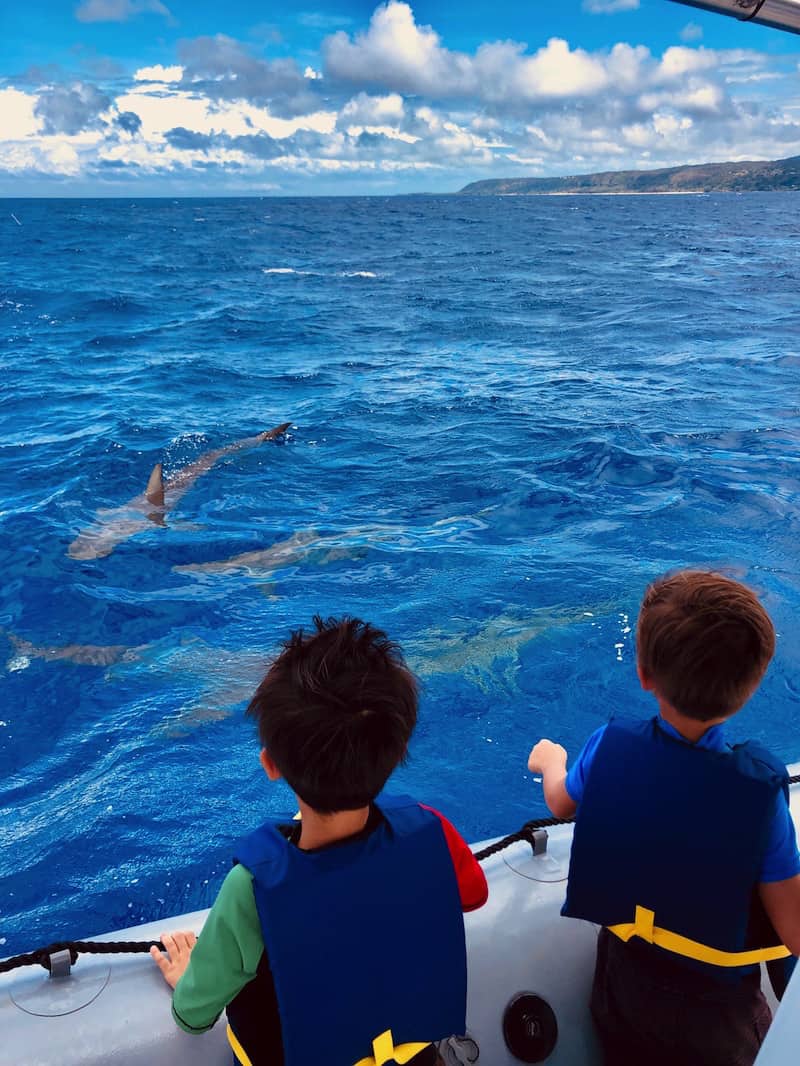 Looking For an Oahu Tour? We’ve got you covered!