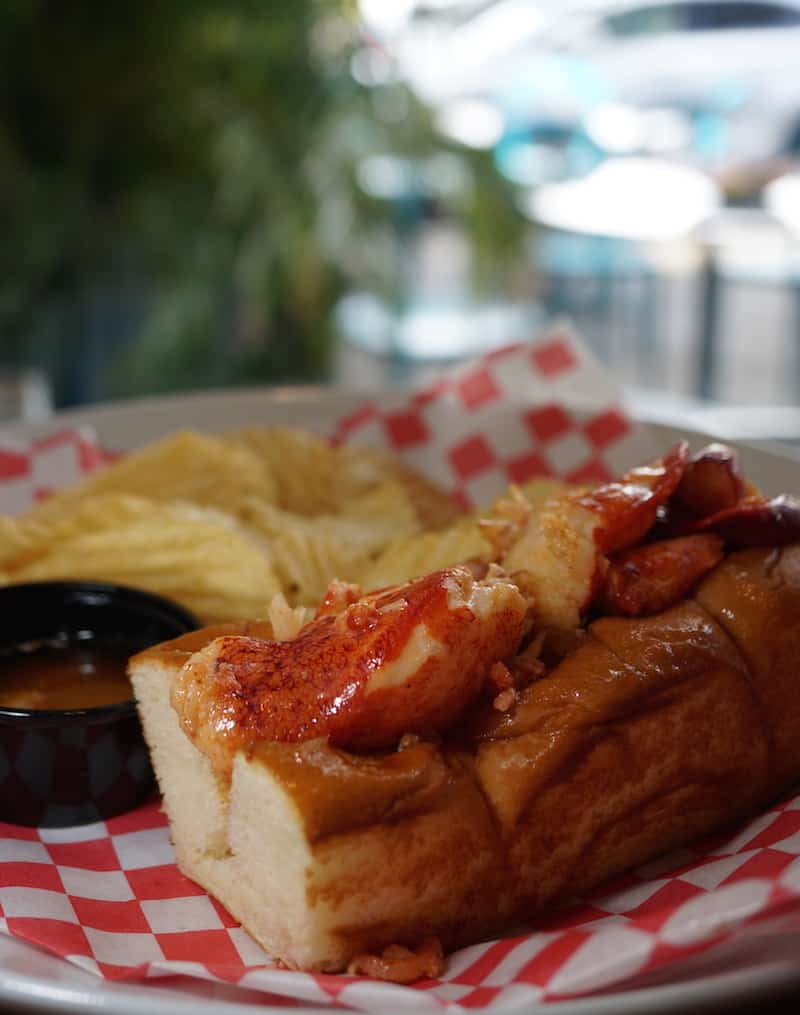 bogarts cafe lobster roll