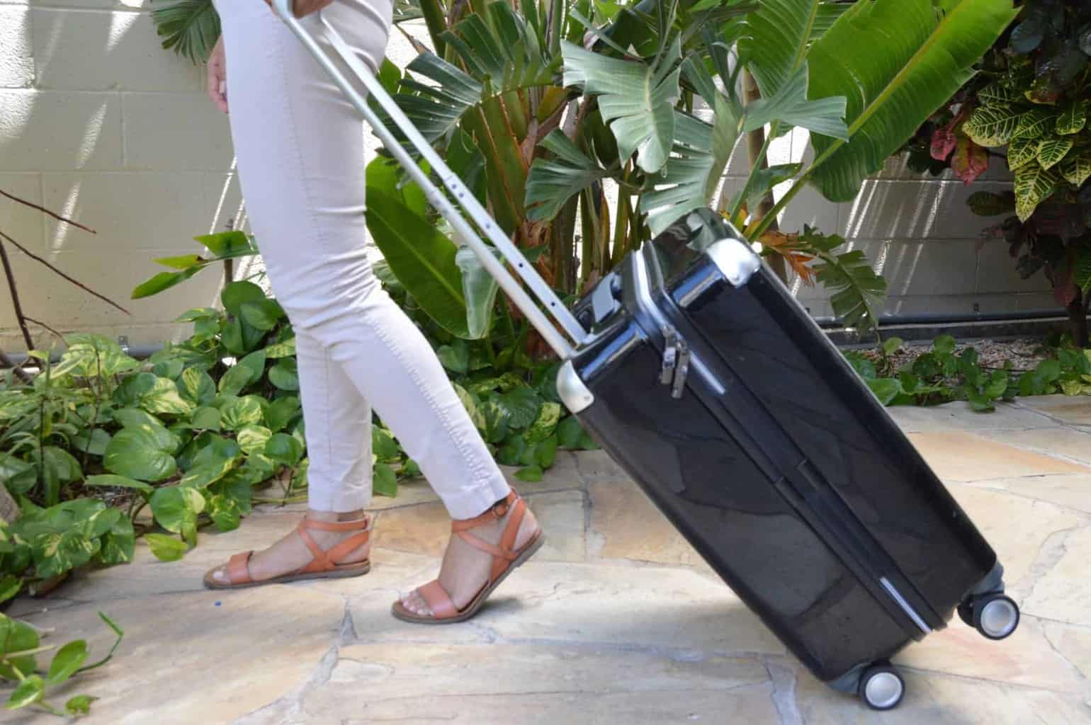 paradise luggage