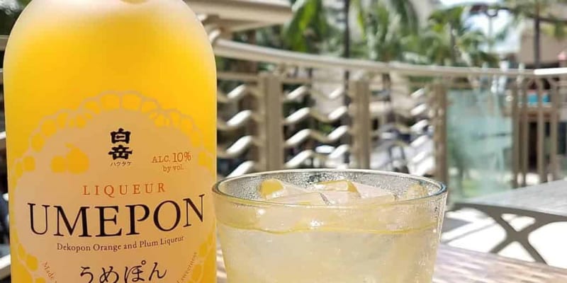 A perfect beverage for a hot day!