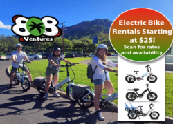 808eVentures