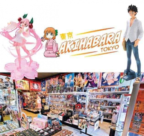 The latest anime collectibles direct from Japan! Trust their expert 