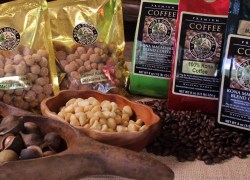 North Shore Macadamia