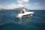 Kailani Yacht Charters