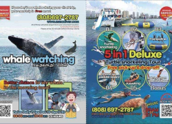 Paradise Water Sports