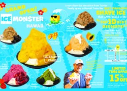 ICE MONSTER HAWAII