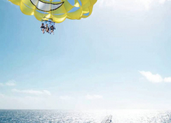 Paradise Water Sports