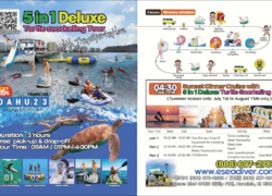Paradise Water Sports