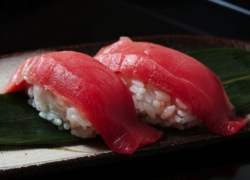 Kanoya Sushi Grill & Bar