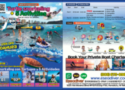 Paradise Water Sports