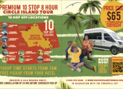 Pacific Palms Tour Co. In Association with The Pineapple EXP